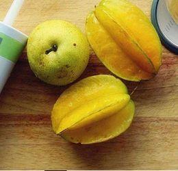 星星吃瓜沈以诚