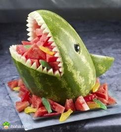 星星吃瓜沈以诚