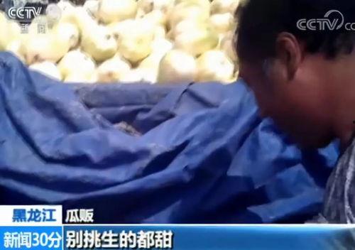 快穿嘎嘎吃瓜看戏小说,快穿女配的吃瓜日常