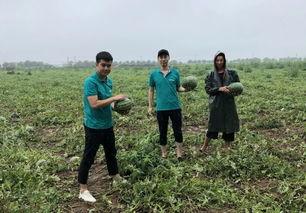 重渡沟吃瓜,清凉一夏，尽享田园风光
