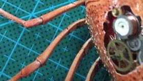 嘻嘻吃瓜动漫,动漫界的欢乐盛宴