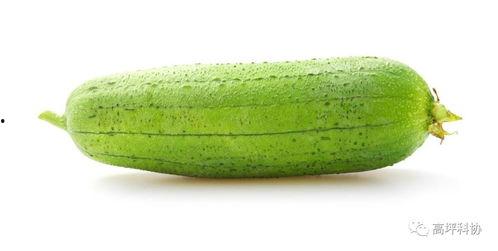 瓜瓜吃瓜主题适合,揭秘瓜瓜吃瓜背后的故事