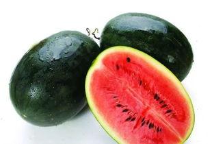 方小宝吃瓜日常