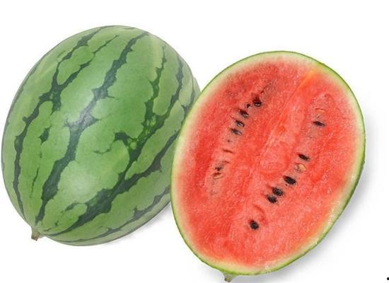 吃西瓜保护我的瓜,吃瓜行动，守护我的瓜