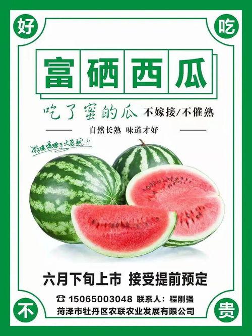 打卡吃瓜广西,畅享美食与瓜果盛宴