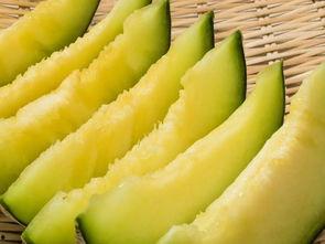 摄影吃瓜,摄影中的吃瓜瞬间