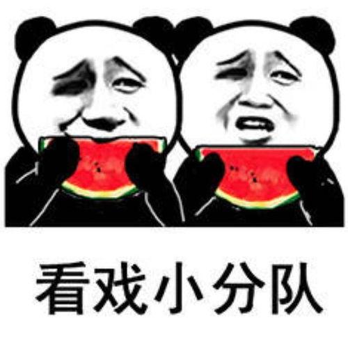 吃瓜抢瓜表情包图片可爱,吃瓜抢瓜表情包的可爱瞬间
