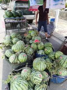 辽宁校园吃瓜事件,揭秘校园网络舆论风波