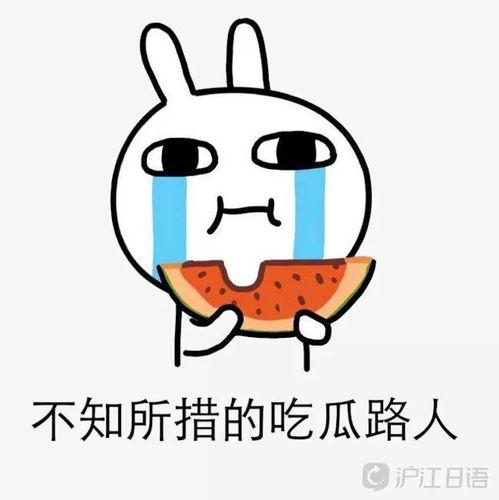 妙语吃瓜,揭秘娱乐圈那些鲜为人知的幕后故事