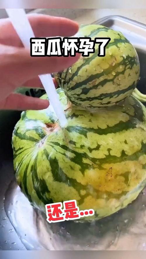 吃瓜吃不够搞笑视频,搞笑视频带你笑翻天