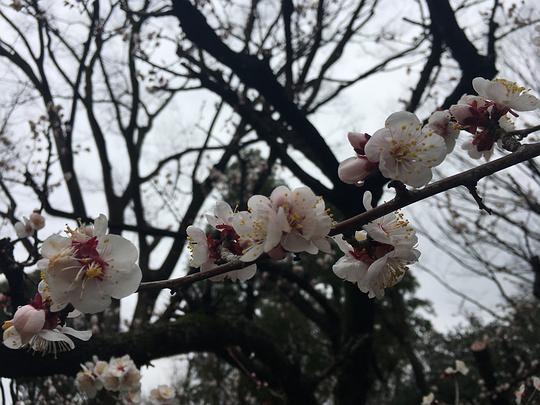 随手拍的吃瓜照片,揭秘夏日街头美食风情