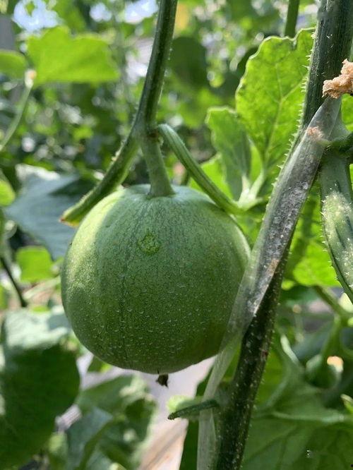 娱乐吃瓜公司  第2张