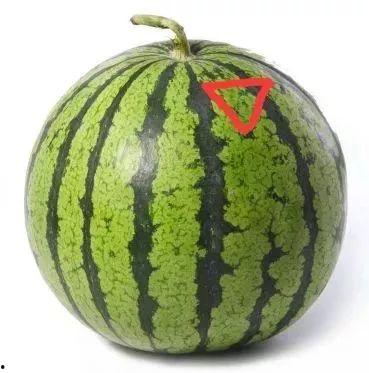 吃瓜君zzz,网络红人的崛起与影响力