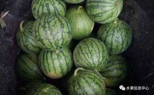 2021吃瓜群,揭秘娱乐圈幕后风云  第3张