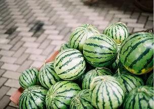 微脉圈吃瓜,揭秘网络热议背后的真相与趣味  第3张