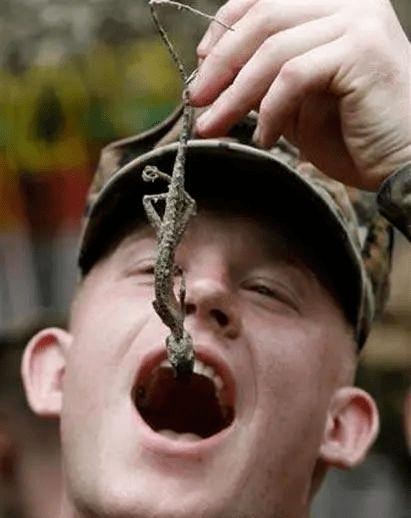 奇葩食品带你吃瓜,跟随奇葩食品吃瓜之旅  第3张