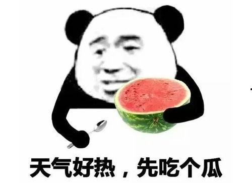 吃瓜这个表情怎么回,揭秘娱乐圈幕后风云