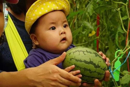吃瓜群曝光,揭秘娱乐圈背后的惊人真相  第3张